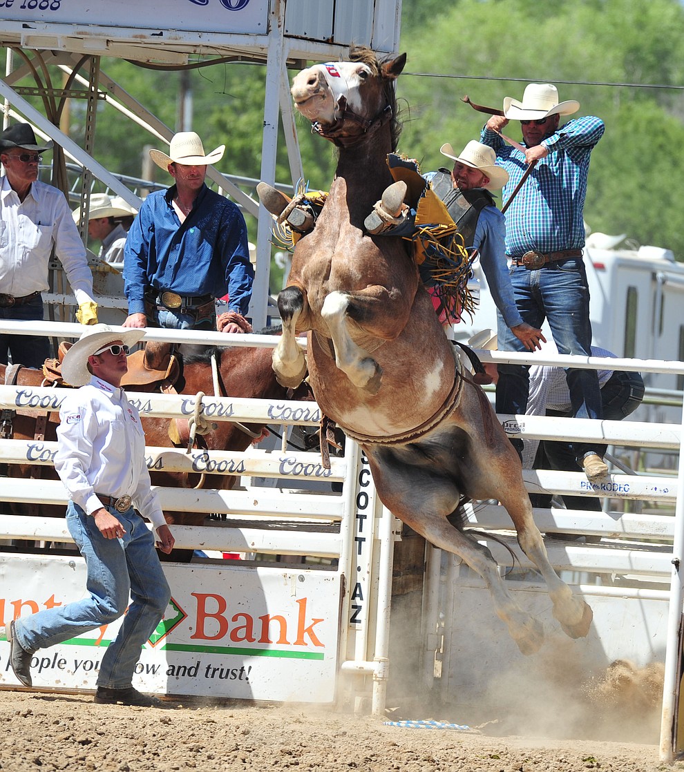 Dean Wadsworth scores on Raise Your Glass in the saddle bronc riding during the third performance of the Prescott Frontier Days Rodeo Saturday, June 30, 2018.(Les Stukenberg/Courier)