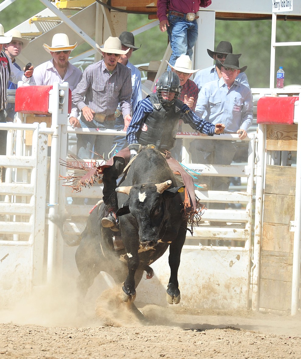 Hunter Kelly on Danger Danger in the bull riding during the final performance of the 2018 Prescott Frontier Days Rodeo Wednesday, July 4, 2018. (Les Stukenberg/Courier)