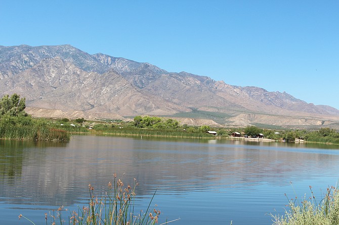 Photo detail