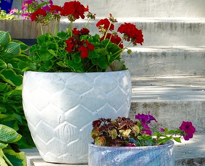 Gardening in containers can add a punch of color, elegance, creativity, and drama to every landscape. (Watters/Courtesy)