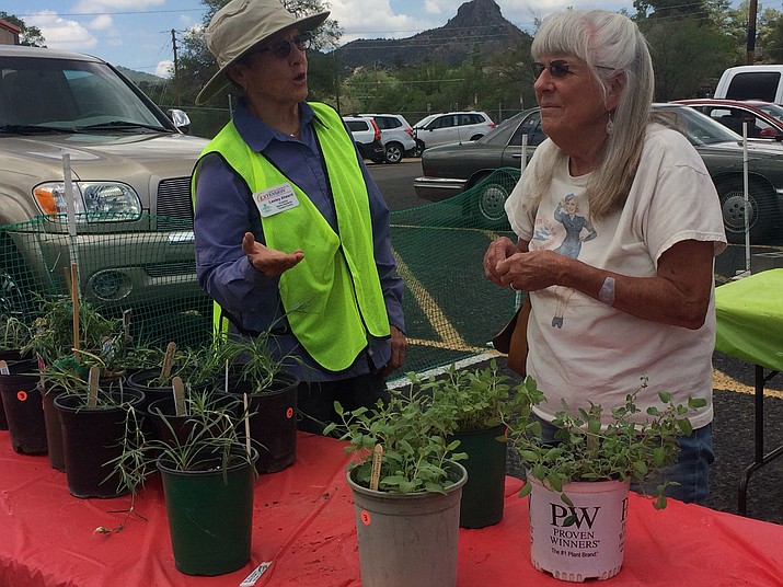 Emeritus Master Gardener Lesley Alward speaks to Joyce Mackin at the Master Gardeners’ Plant and Yard Sale at the Prescott Rodeo Grounds Saturday, July 14. (Jason Wheeler/Courier)