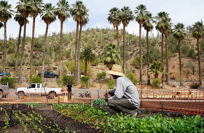 The Farm at Castle Hot Springs, which includes an organic garden and a greenhouse, was spared from the flood damage during last week’s monsoon storm. In a March 2018 photo, chief farmer Ian Beger explains the varieties being planted in the garden. (Cindy Barks/Courier, file)