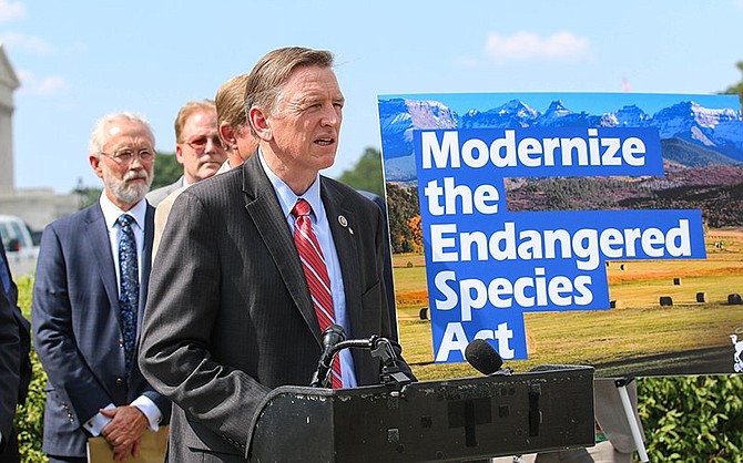 Photo detail