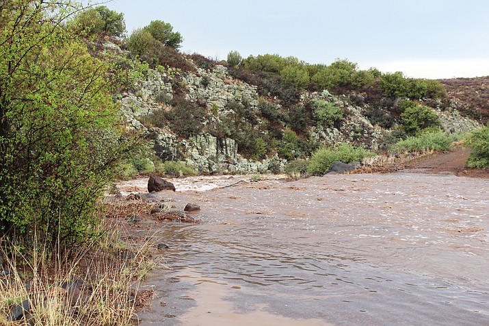 Pine Mountain Wilderness near Prescott, Arizona has several moderate trails. Dogs are allowed but should be leashed. Flooding washed out part of the Nelson Trail in the wilderness area. (Stan Bindell/NHO)