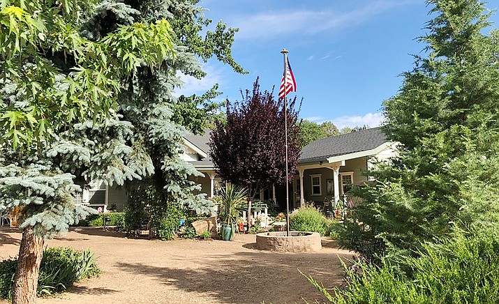 The front of the Noons’ house, 1528 Kile St., shows evergreen shrubs, blue spruce, weeping willow, deodar cedar and two young aspens to define their outdoor room.
