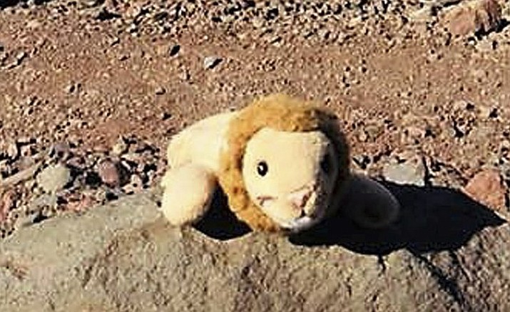 This photo provided by Holly Spaman shows a small stuffed lion she found along the Broken Top Trail near Bend, Ore., July 16, 2018. A little girl who lost the lion on a hike in the Oregon backcountry was reunited with her favorite toy over the weekend after a community effort to identify her. (Holly Spaman via AP)

