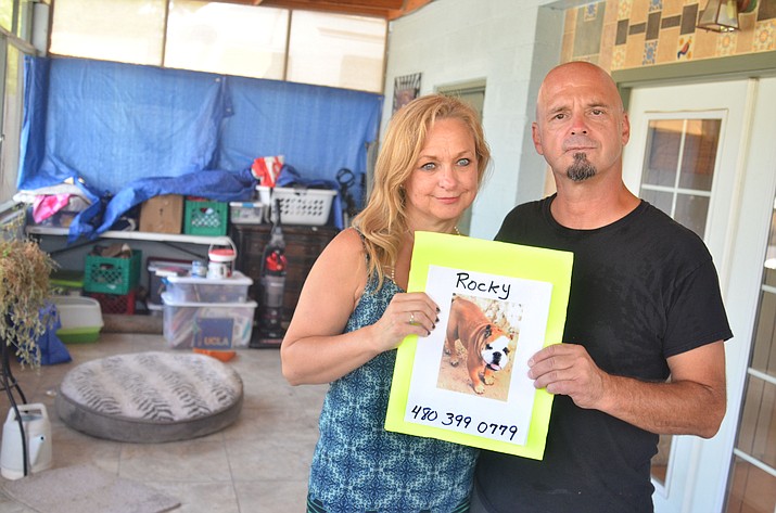 Dee Dee Perkins and Todd Franco are putting up posters of Rocky in Cottonwood. VVN/Vyto Starinskas