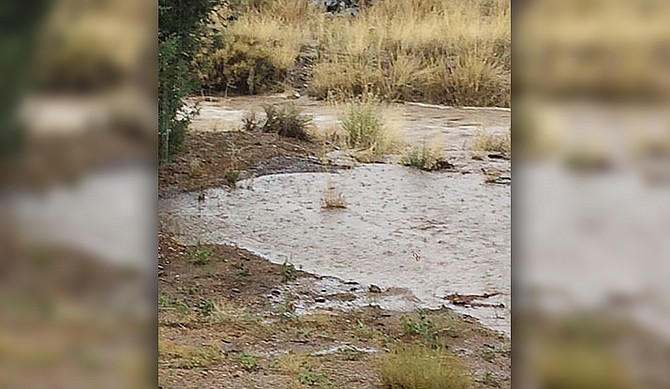 Photo detail