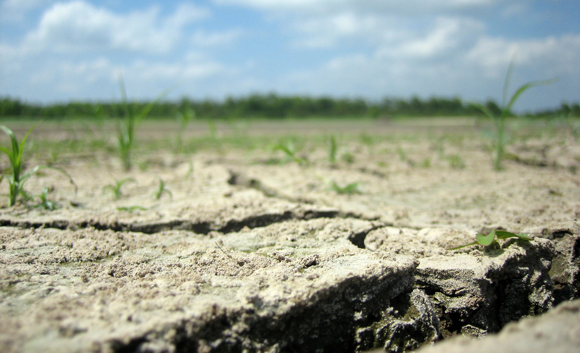 More than a heat wave ... DROUGHT | The Verde Independent | Cottonwood, AZ