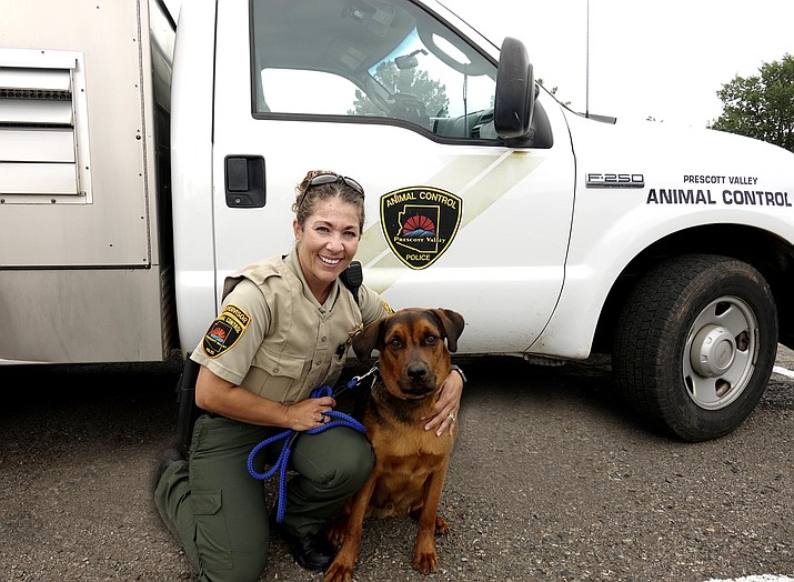 Arizona animal control officer jobs