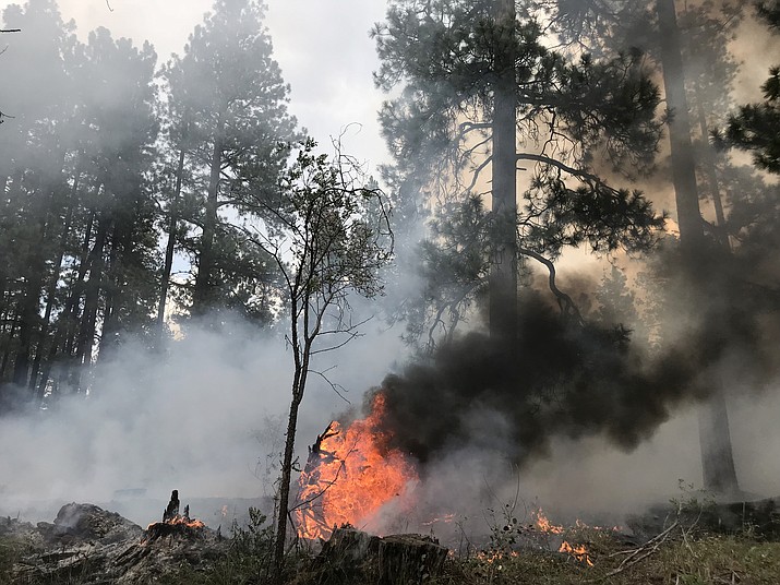 This Aug. 11 photo shows the Stina Fire on the North Rim, which burned at varying levels of intensity resulting in a mosaic pattern on the landscape. (Kaibab National Forest)