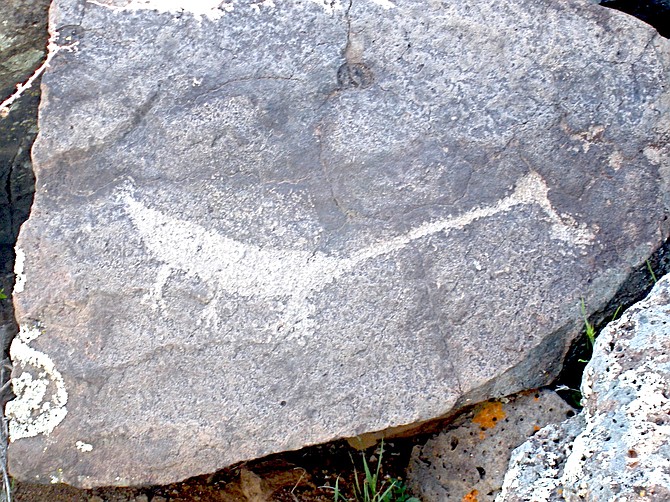 Photo detail