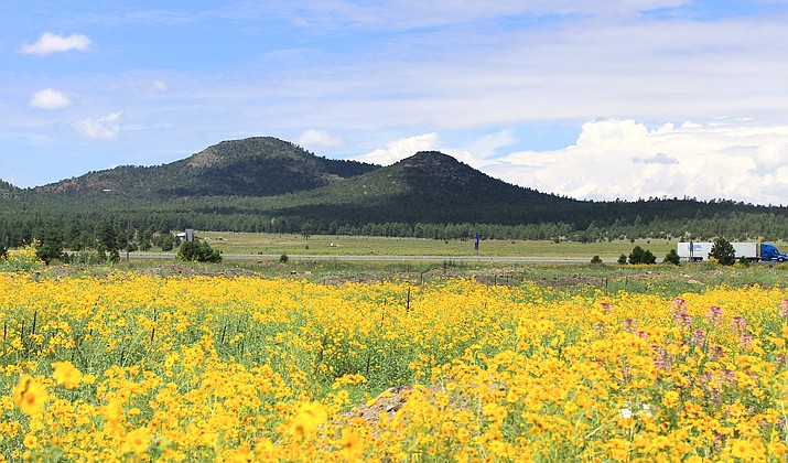 A 480-acre parcel north of I-40 was slated for a theme park in 2015. 