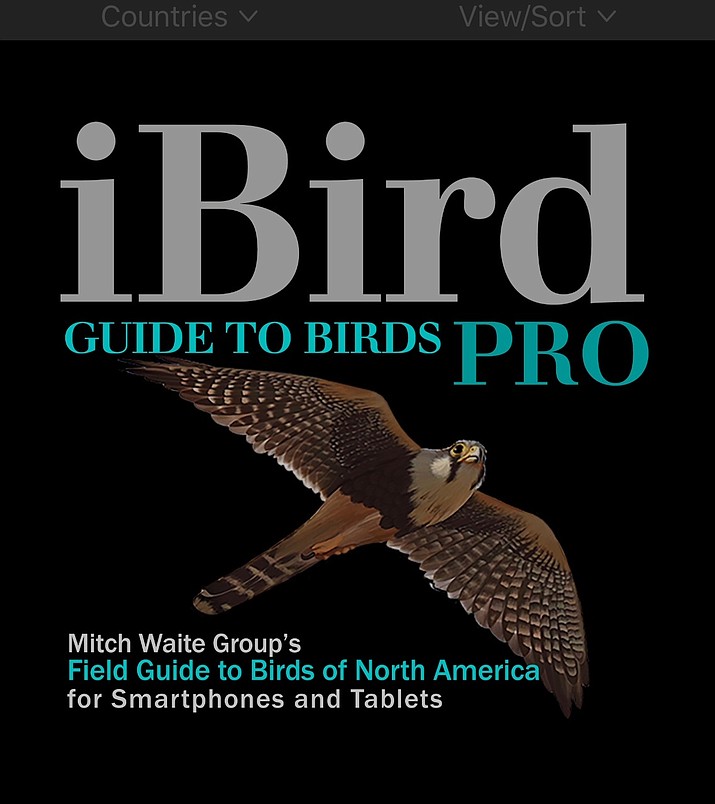 The home page of an app, which can be used to identify birds, is shown above. (Courtesy)