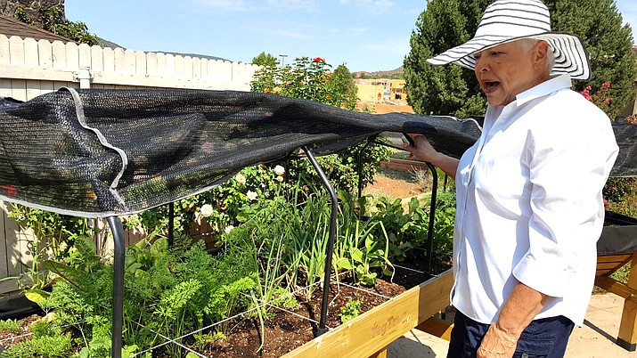 Vicki Beckner's Square Foot Gardening in a VegTrug 8-18 (Medium).