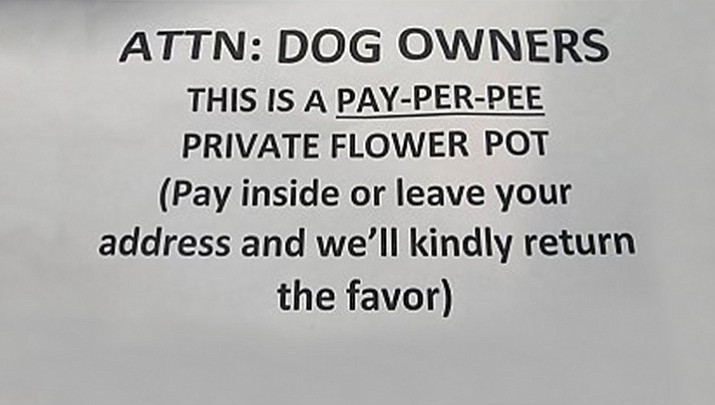 Duc Nguyen, owner of a Connecticut restaurant called Duc’s Place in New Haven, was disgusted with people allowing their dogs to urinate on the eatery’s outside flower pot. He was fined $250 for posting a sarcastic sign joking that it was a "Pay-per-pee" private flower pot.