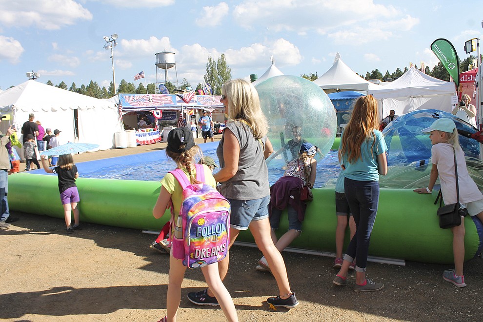 A day at the fair Coconino County Fair highlights WilliamsGrand