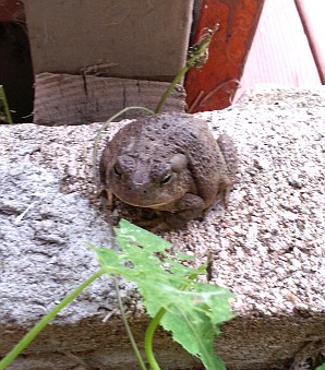 Photo detail
