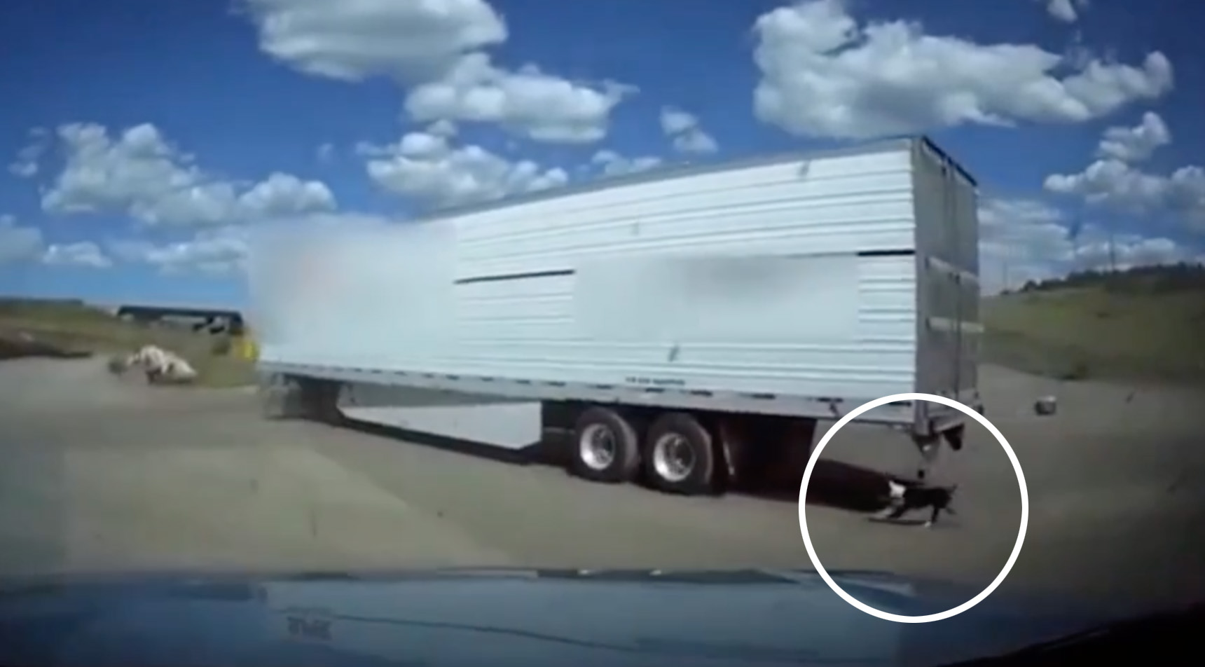 YCSO volunteer rescues dog attached to moving semitruck (with video