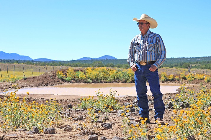 John Mahan looks out over his ranch north of Williams. Mahan found two of his cattle dead under suspicious circumstances Sept. 10, 2018.  (Wendy Howell/WGCN)