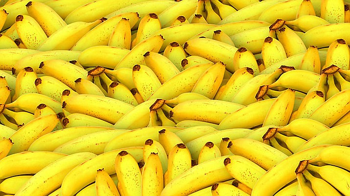Bananas donated to a prison in Texas turned out to have nearly $18 million worth of cocaine hidden inside the boxes. (AP photo)