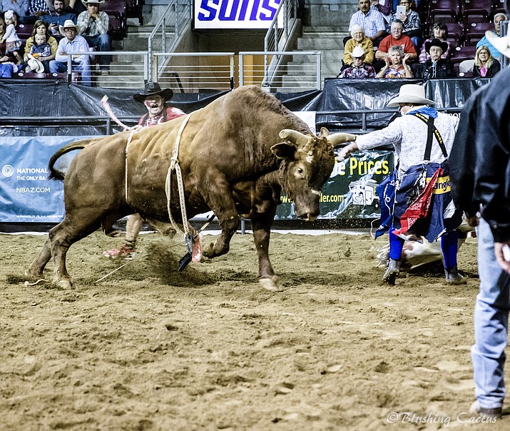 The competition for this year’s Ram Turquoise Circuit Rodeo Finals is expected to be even more intense than last year’s. (Scott Norton/Courtesy)