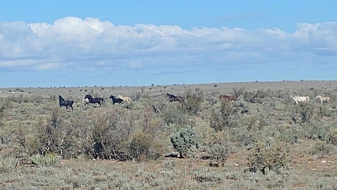 Photo detail