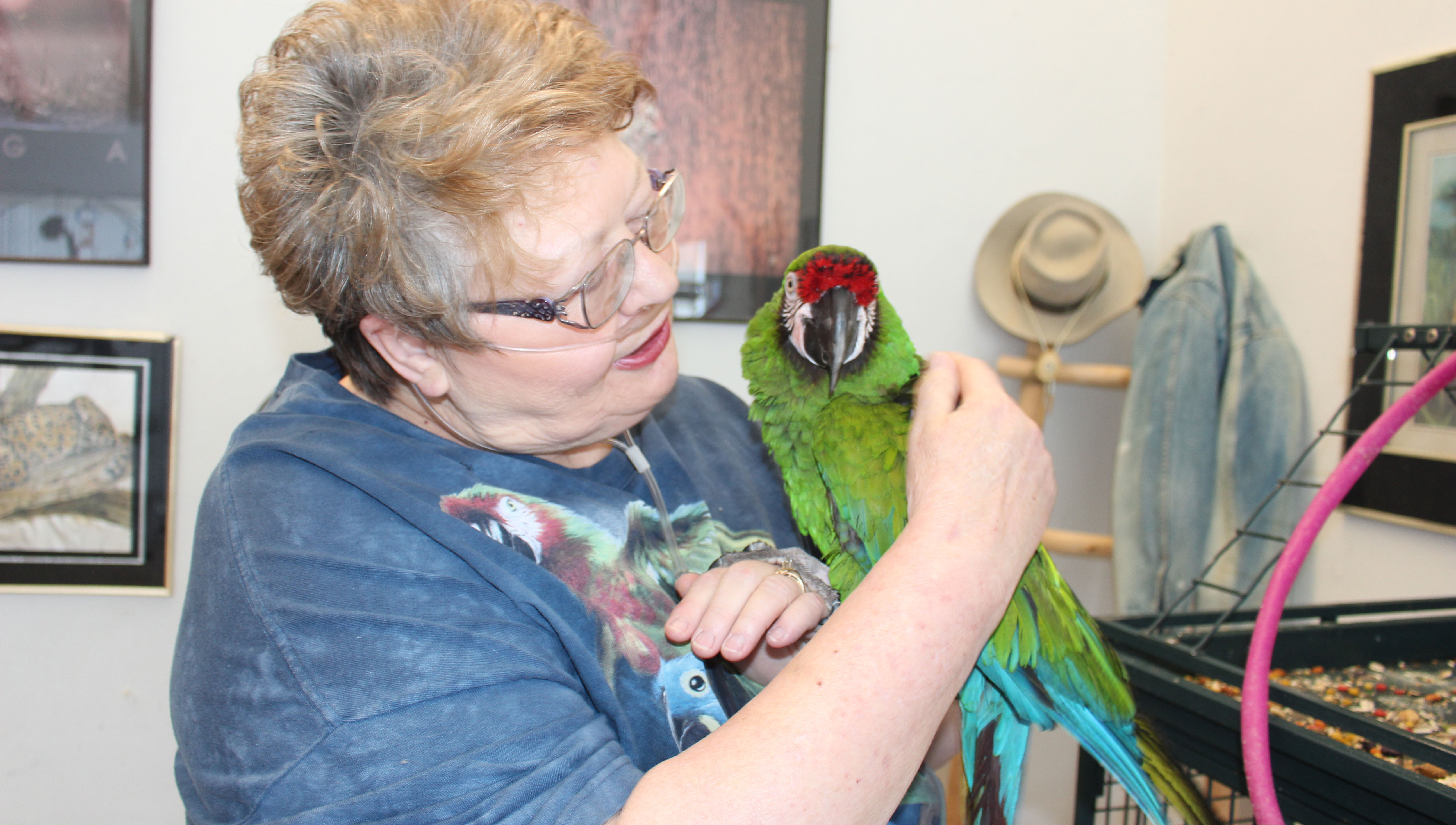 bird rescue chesapeake va