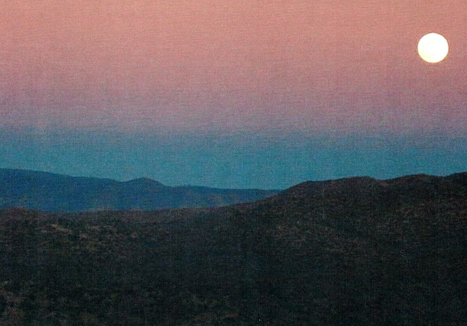 Photo detail
