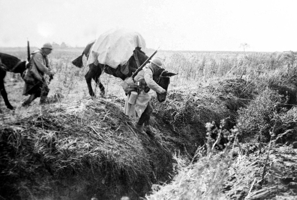 FILE - This undated file photo shows machine gunners with mules crossing a trench in France during WWI. They were messengers, spies, sentinels and the heavy haulers of World War I, carrying supplies, munitions and food and leading cavalry charges. The horses, mules, dogs and pigeons were a vital part of the Allied war machine, saving countless lives _ and dying by the millions. (AP Photo, File)