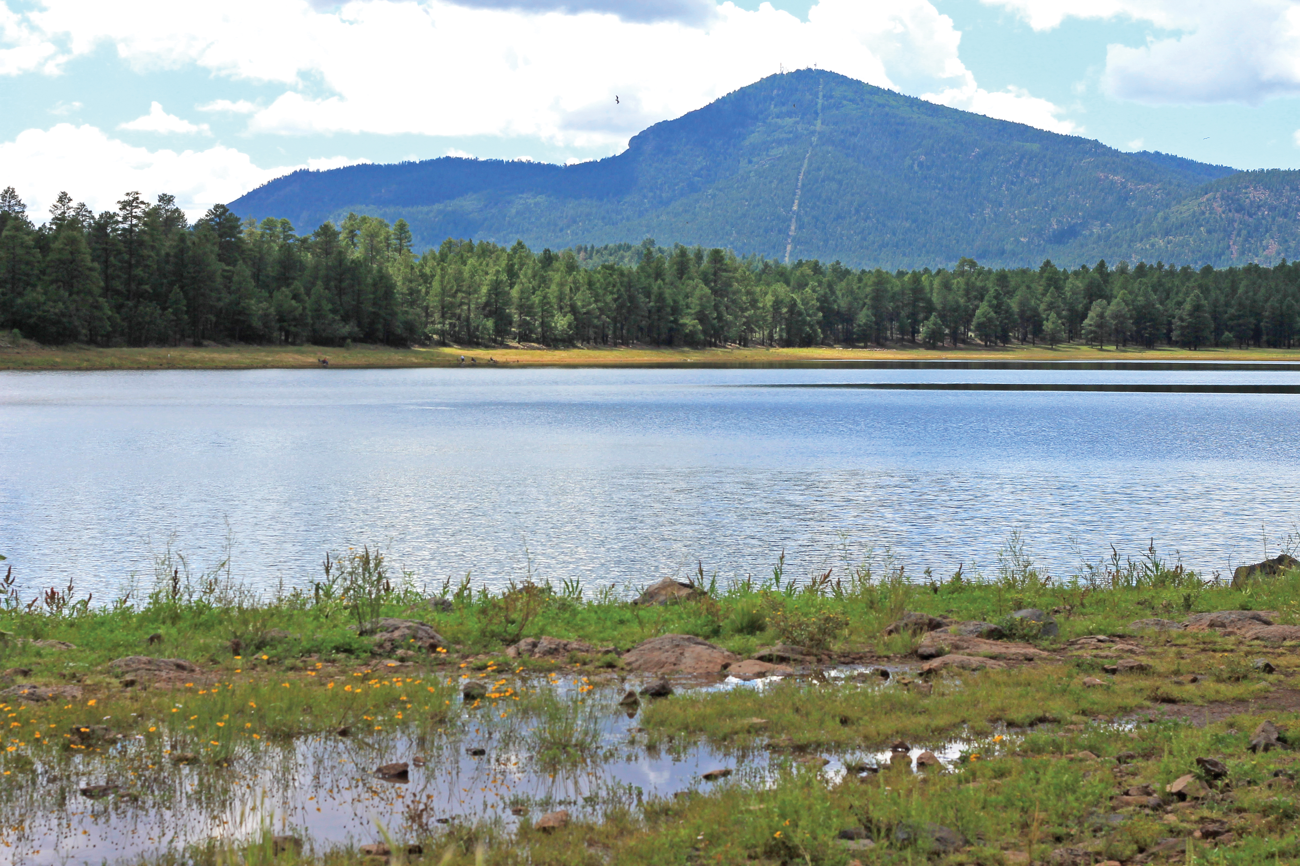 Aging water lines from Dogtown Lake to be replaced | Williams-Grand