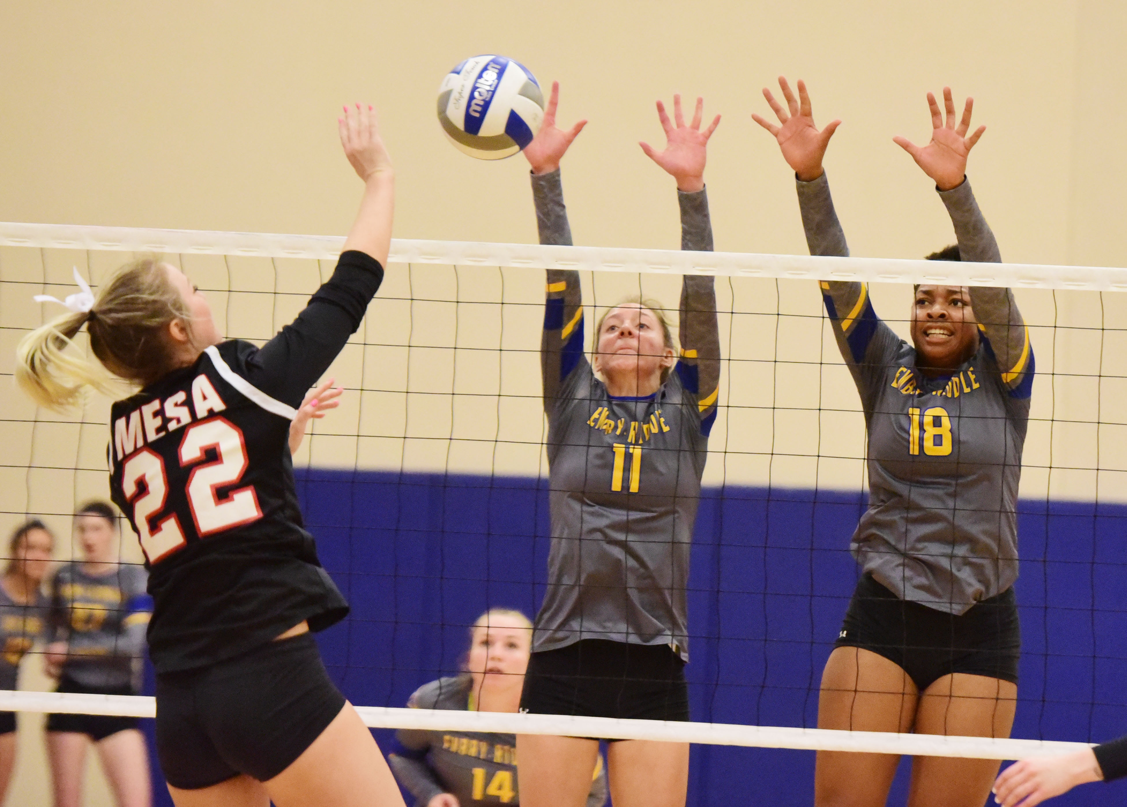 Railey Druxman Leads Benedictine Mesa Volleyball