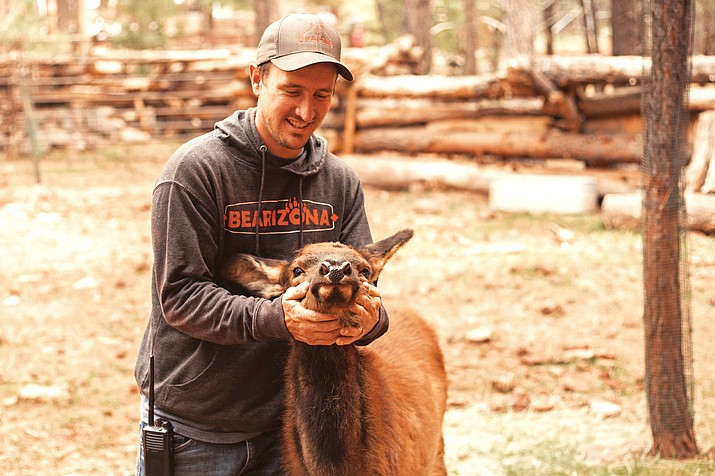 NAU biology graduate right at home among wildlife at Bearizona | Williams-Grand Canyon News | Williams-Grand Canyon, AZ NAU biology graduate right at home among wildlife at Bearizona | Williams-Grand Canyon News | Williams-Grand Canyon, AZ