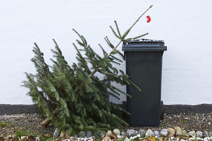 Christmas trees: it’s time for them to come down, disposal | The Daily Courier | Prescott, AZ