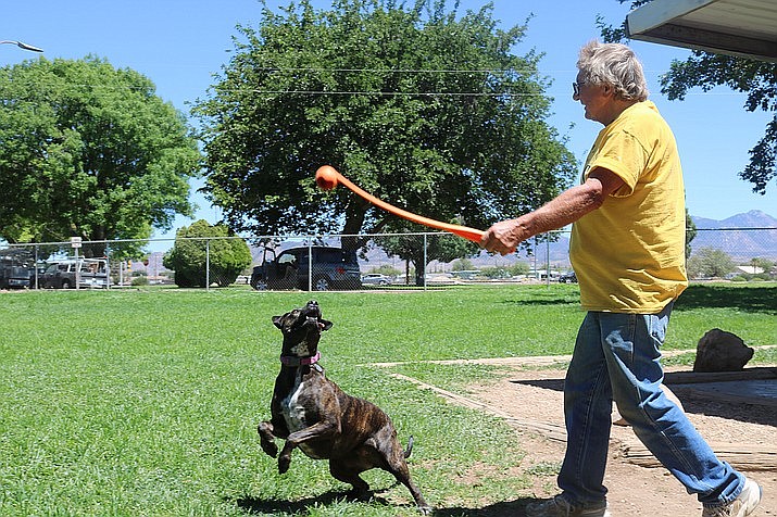 June 21 – Keith Klamrowski and his dog, Brownie, enjoy a Wednesday afternoon at Lewis Kingman Park. Currently Kingman’s only dog park, City staff recently completed a third area for dogs. (Photo by Travis Rains/Daily Miner)