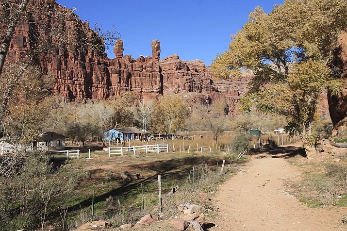 Supai Village is tucked into Grand Canyon's western rim and is home to the Havasupai Nation. (Loretta Yerian/WGCN)