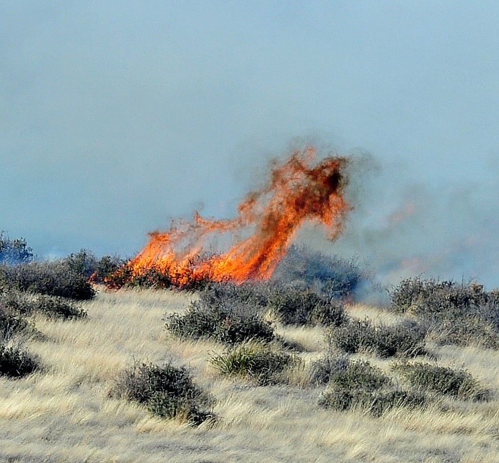 A fast moving wildland fire burns along the north side of Highway 89A between Glassford Hill Road and Granite Dells Parkway Monday Jan. 21, 2019 in Prescott Valley. (Les Stukenberg/Courier).