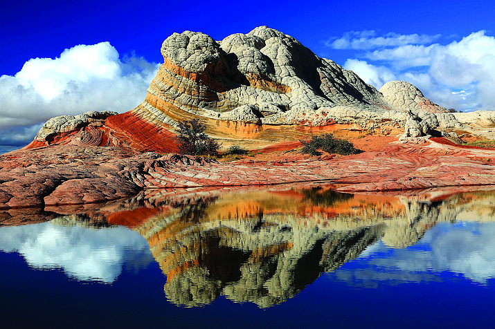 Reflections Of White Pocket Rock by Mike Koopsen