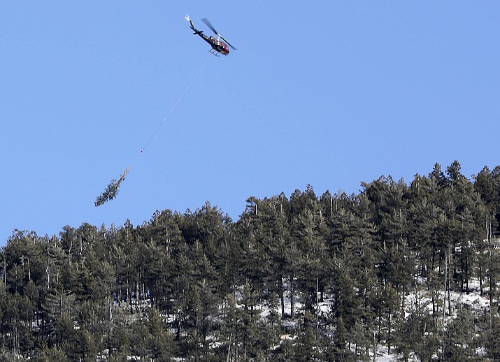 A helicopter carries felled trees off the slopes of Mount Elden during helicopter logging operations Jan. 30, 2019, for the Flagstaff Watershed Protection Project in Flagstaff. (Jake Bacon/Arizona Daily Sun via AP)