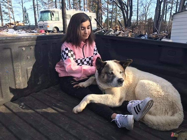This Feb. 18, 2019 photo provided by Ben Lepe shows Maleah Ballejos reunited with her dog Kingston in Paradise, Calif. The Akita named Kingston was reunited with his family 101 days after he jumped out of their truck as they fled a devastating Northern California wildfire. (Ben Lepe via AP)