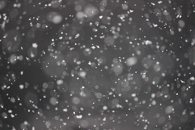 Photo detail