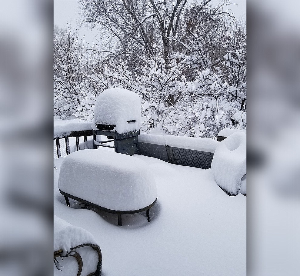 Snowstorm 2019 by Allison Nash