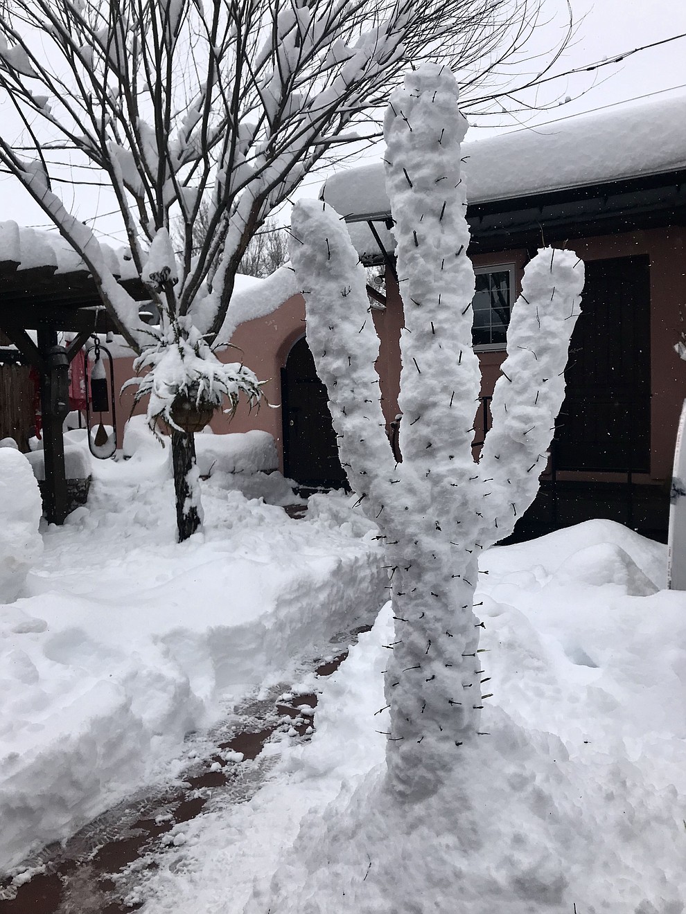 Saguaro Snow Cactus in Prescott AZ by Lori Kunes