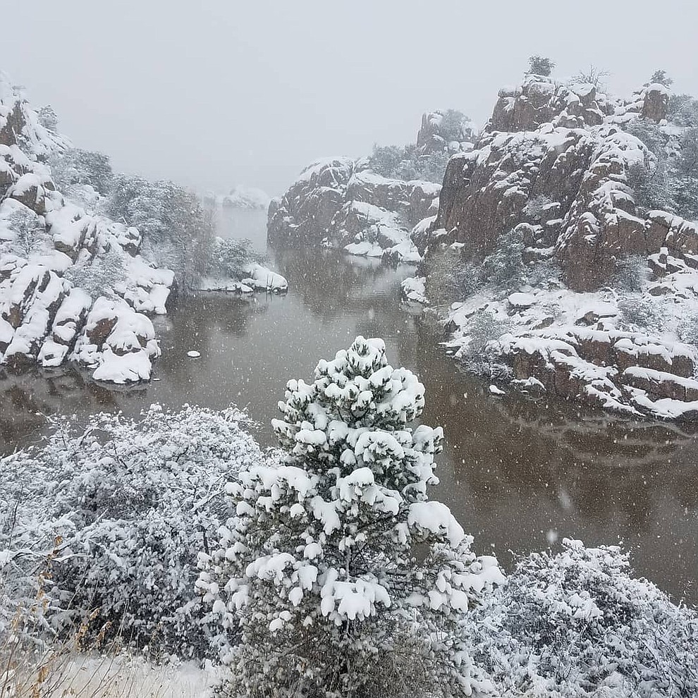 Snowstorm 2019 (Clayton Peck)