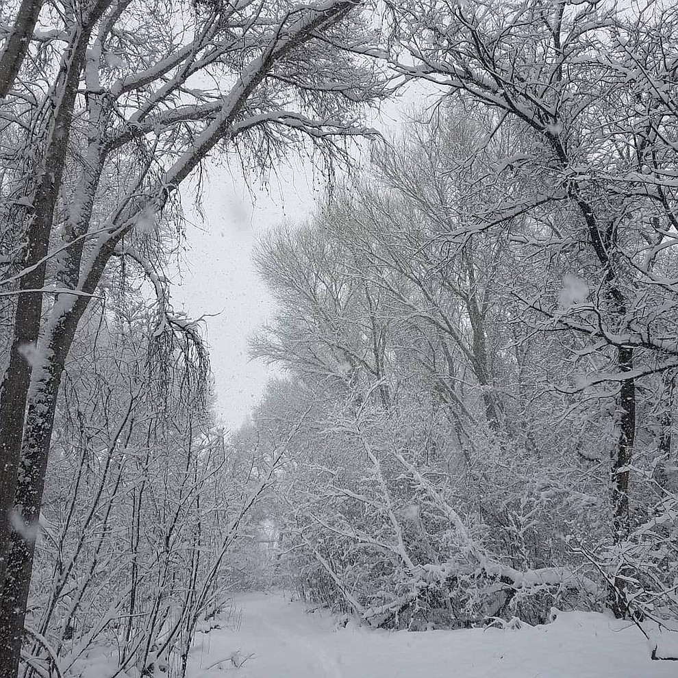 Snowstorm 2019 (Clayton Peck)
