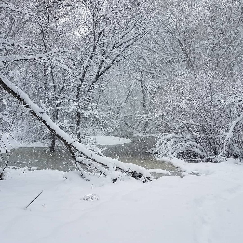 Snowstorm 2019 (Clayton Peck)