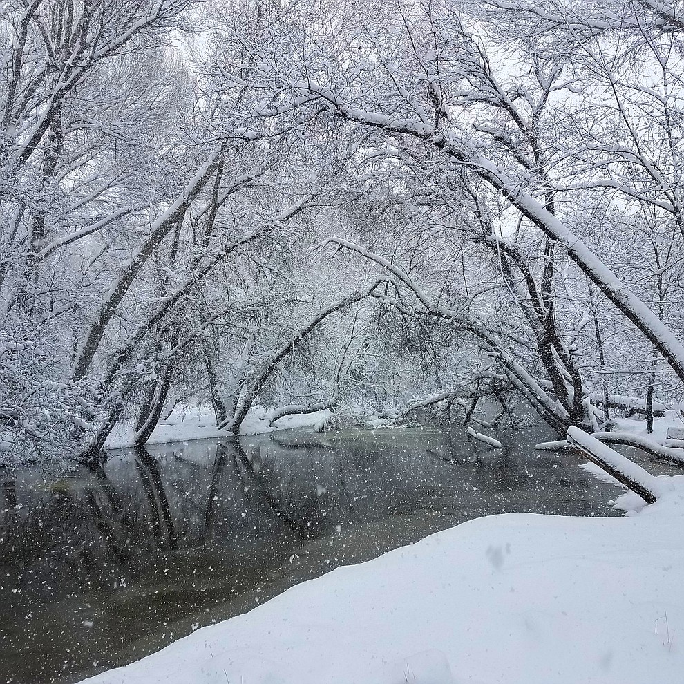 Snowstorm 2019 (Clayton Peck)