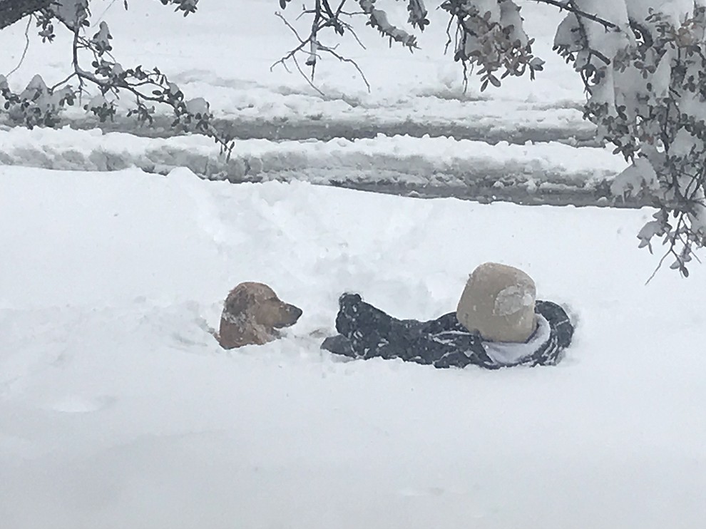 Snowstorm 2019 by Kathy Rhodes