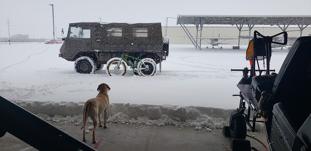 A Pinzgauer, a fat tire bike and Darby take in the 2.21.209 snow from a hanger at the Prescott airport. (Sean Jeralds)