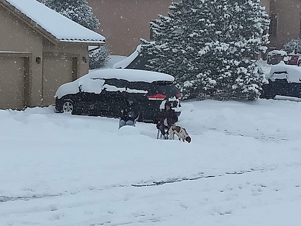 Watch the snow is a spectator sport by Art Protas